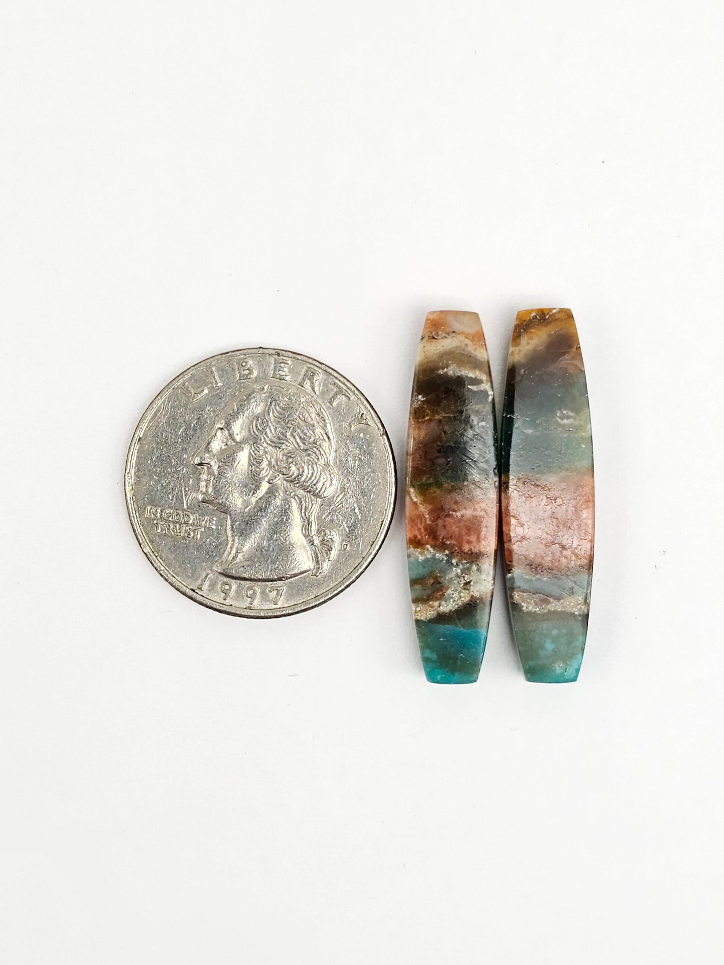 Blue Opal Petrified Wood Cabochon Pair
