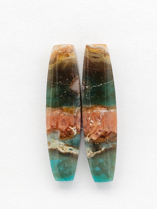 Blue Opal Petrified Wood Cabochon Pair