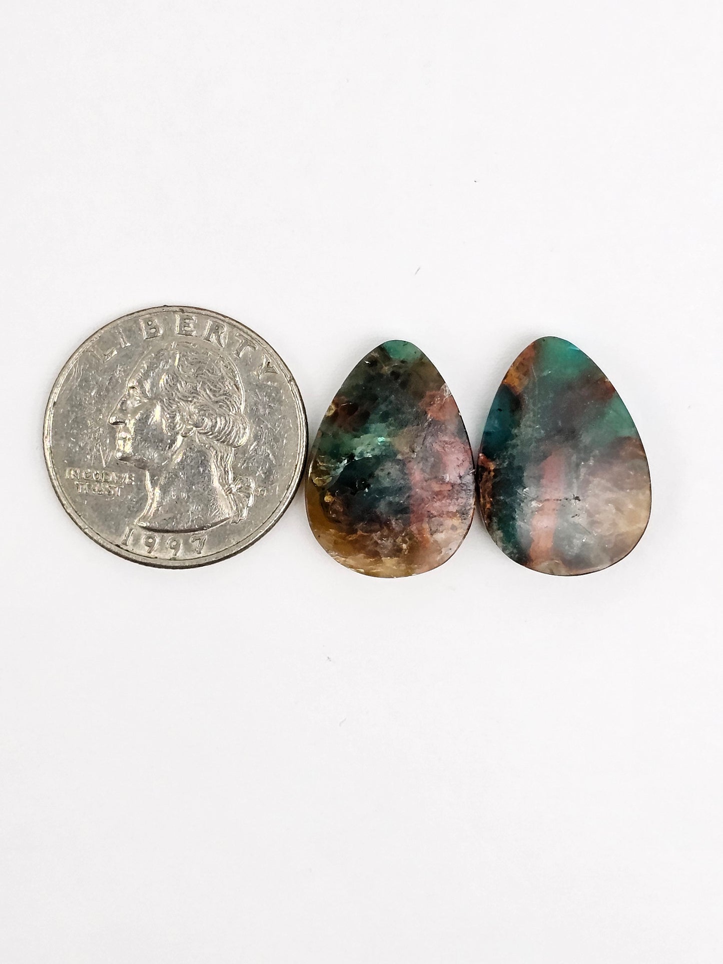 Blue Opal Petrified Wood Cabochon Pair