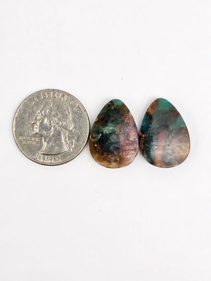 Blue Opal Petrified Wood Cabochon Pair