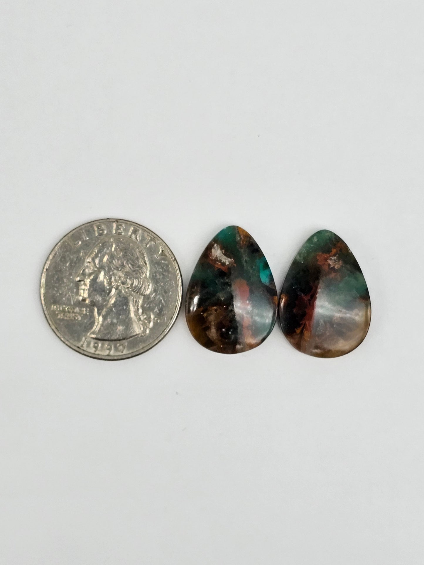 Blue Opal Petrified Wood Cabochon Pair
