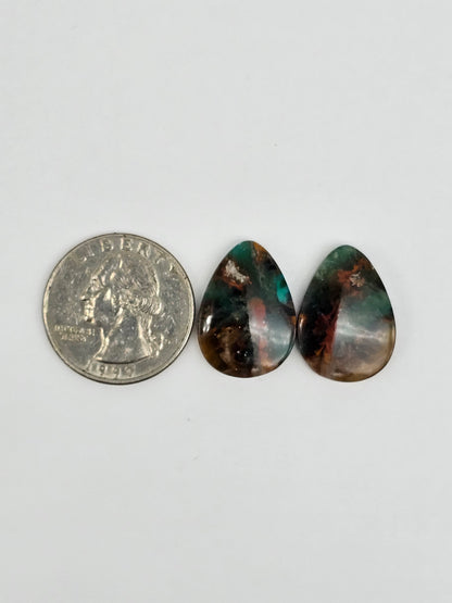 Blue Opal Petrified Wood Cabochon Pair