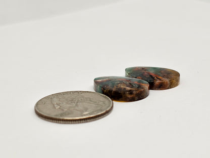 Blue Opal Petrified Wood Cabochon Pair