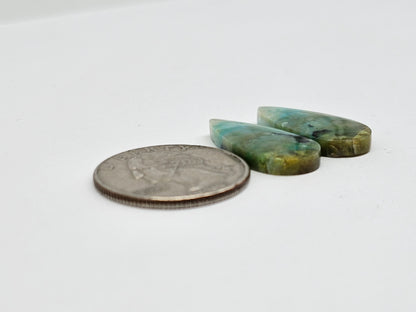 Blue Opal Petrified Wood Cabochon Pair