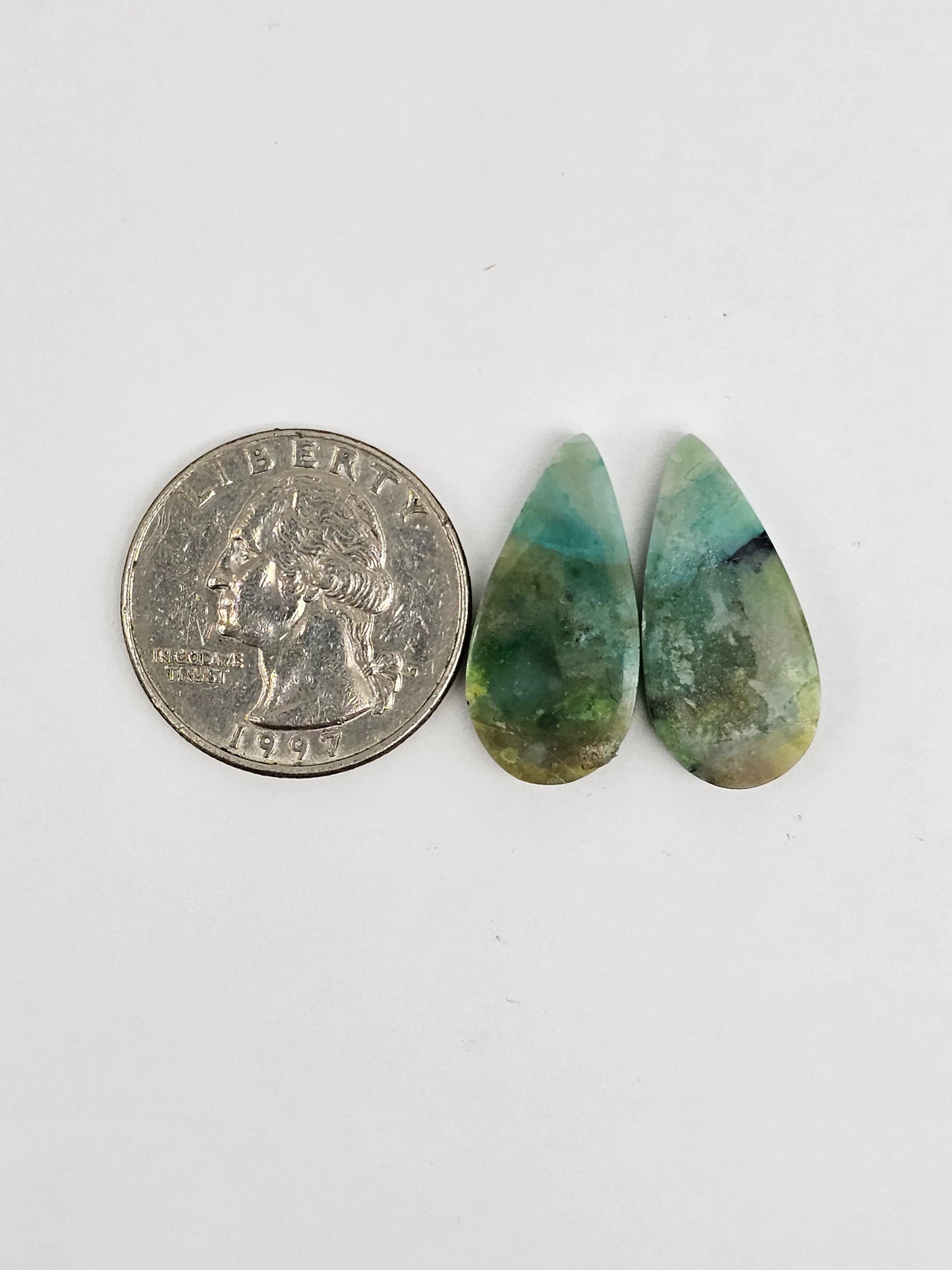 Blue Opal Petrified Wood Cabochon Pair