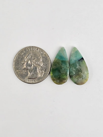 Blue Opal Petrified Wood Cabochon Pair