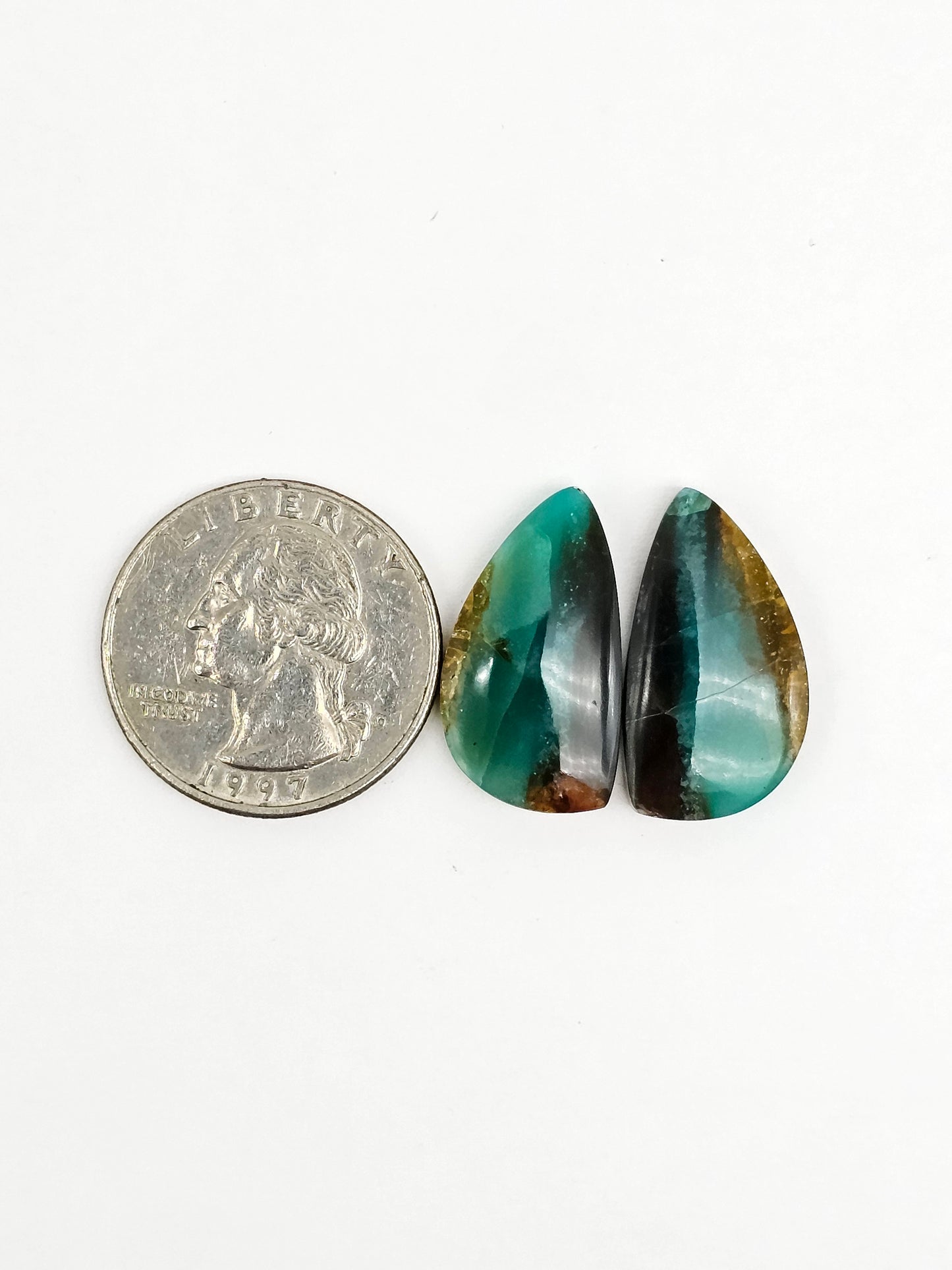 Blue Opal Petrified Wood Cabochon Pair