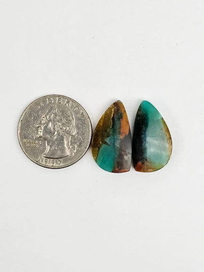 Blue Opal Petrified Wood Cabochon Pair