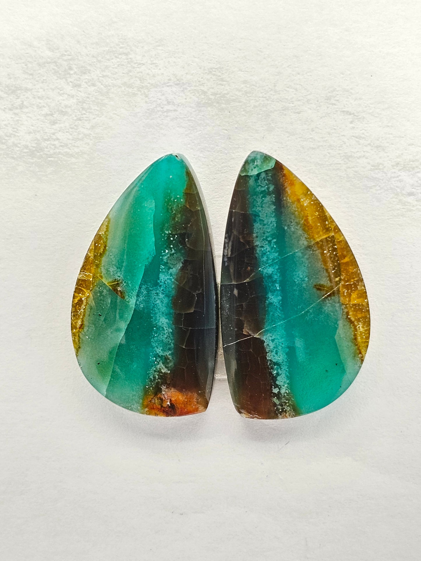 Blue Opal Petrified Wood Cabochon Pair