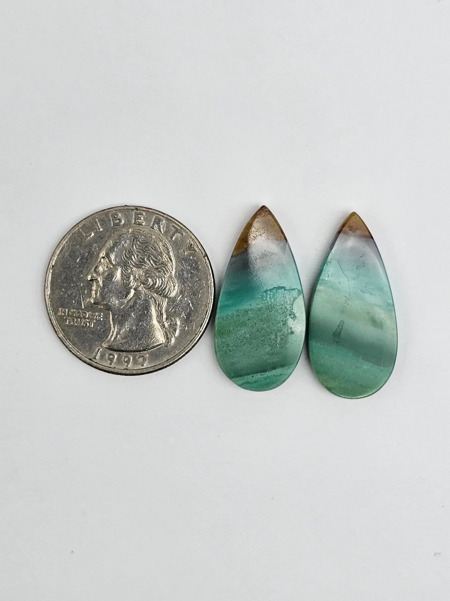 Blue Opal Petrified Wood Cabochon Pair