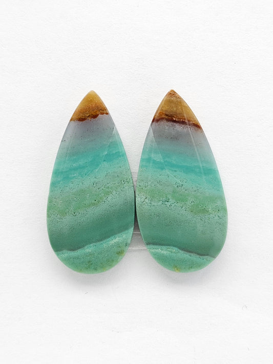 Blue Opal Petrified Wood Cabochon Pair