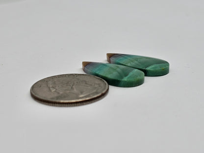 Blue Opal Petrified Wood Cabochon Pair
