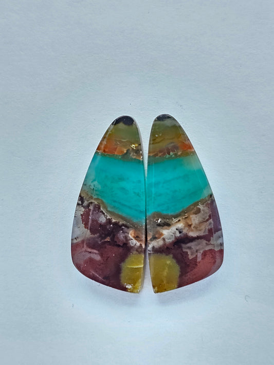 Blue Opal Petrified Wood Cabochon Pair
