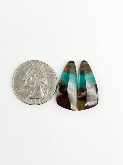 Blue Opal Petrified Wood Cabochon Pair