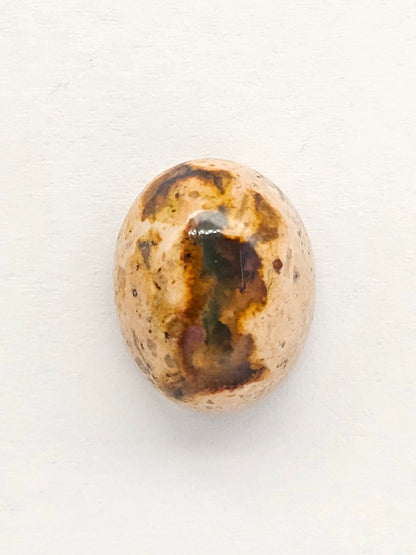 Mexican Cantera Opal Cabochon