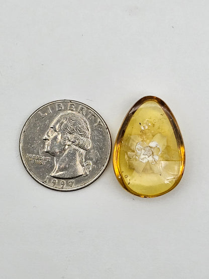 Amber authentic intaglio cabochon large