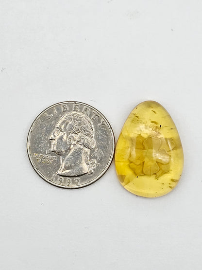 Amber authentic intaglio cabochon large