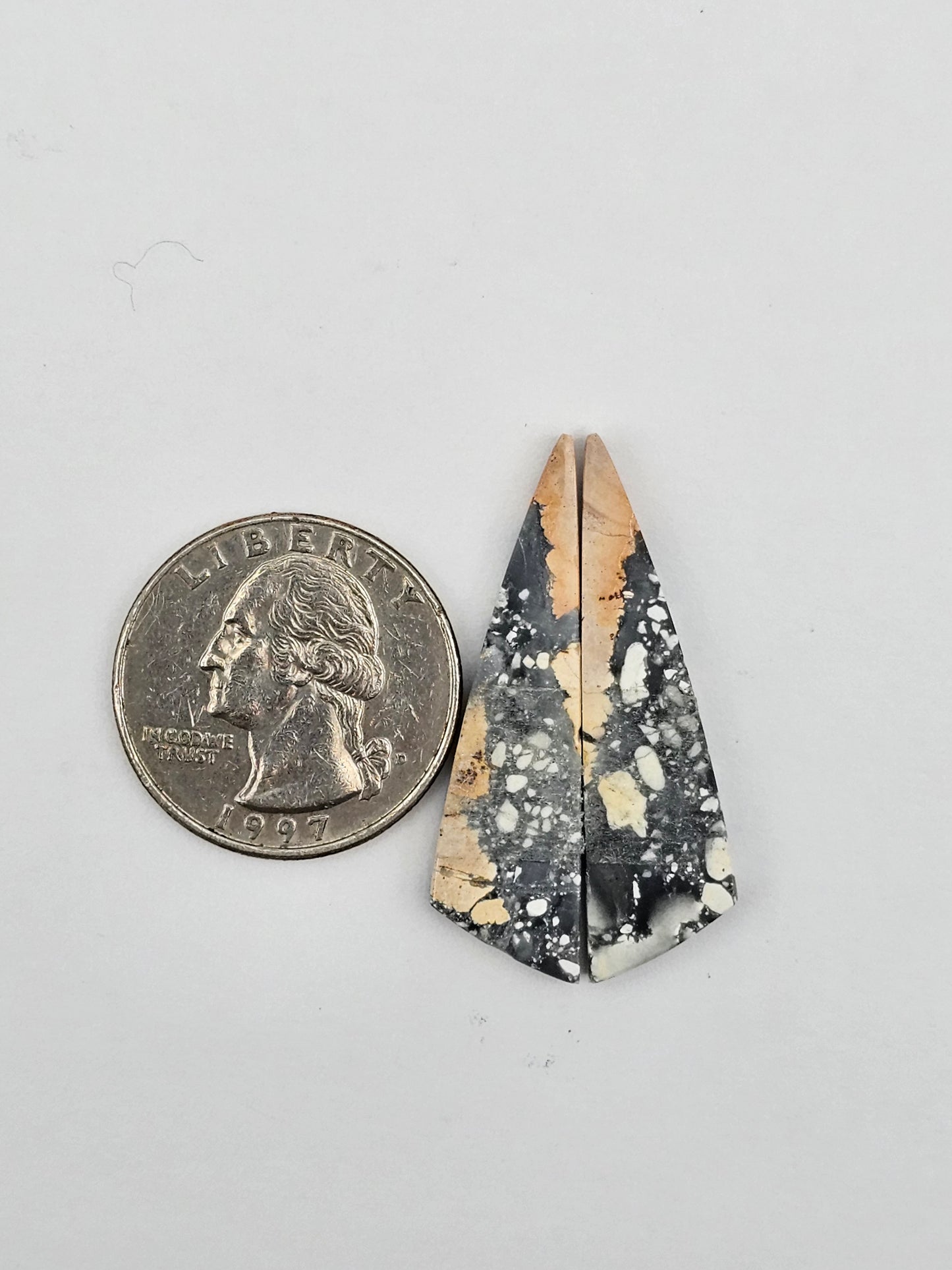 Maligano Jasper cabochon pair