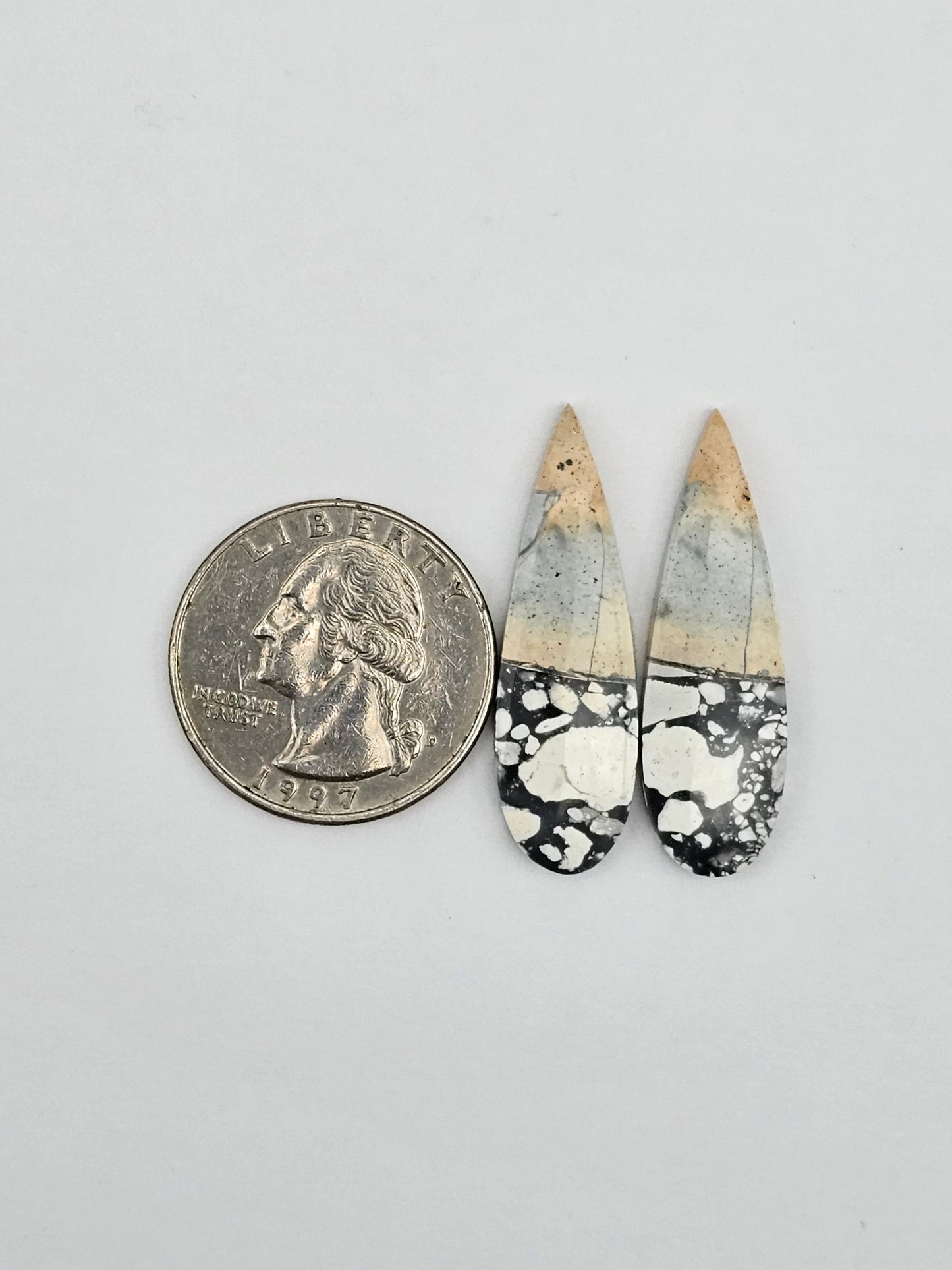 Maligano Jasper cabochon pair