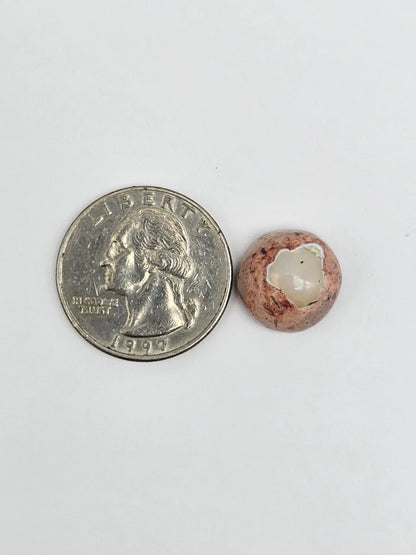 Mexican Cantera Opal Cabochon