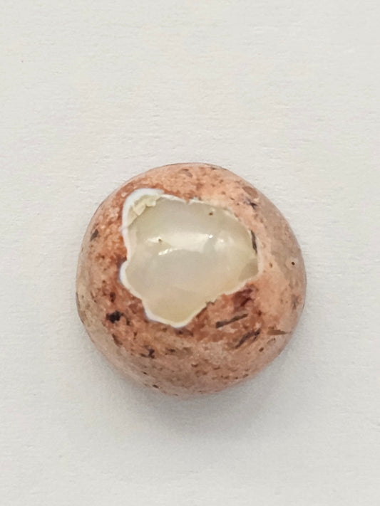 Mexican Cantera Opal Cabochon