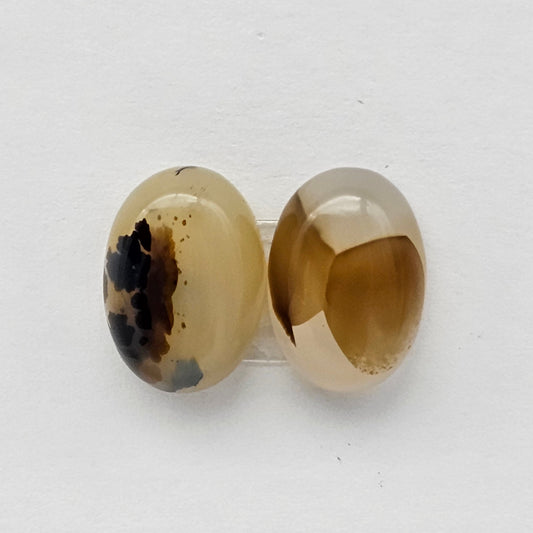 Montana Agate Cabochon Set