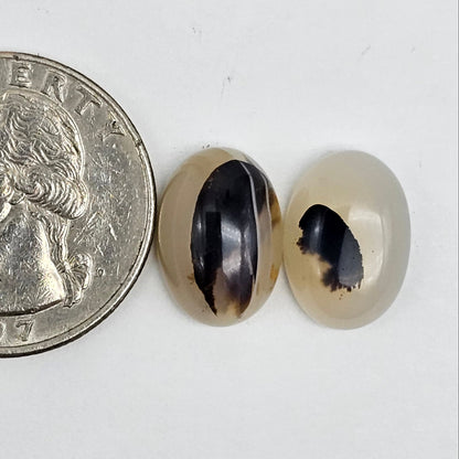Montana Agate Cabochon Set