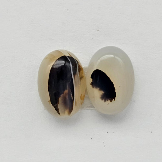 Montana Agate Cabochon Set