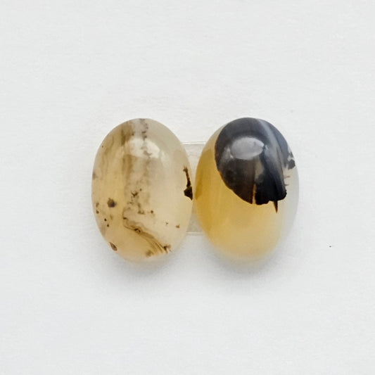 Montana Agate Cabochon Set
