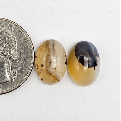 Montana Agate Cabochon Set