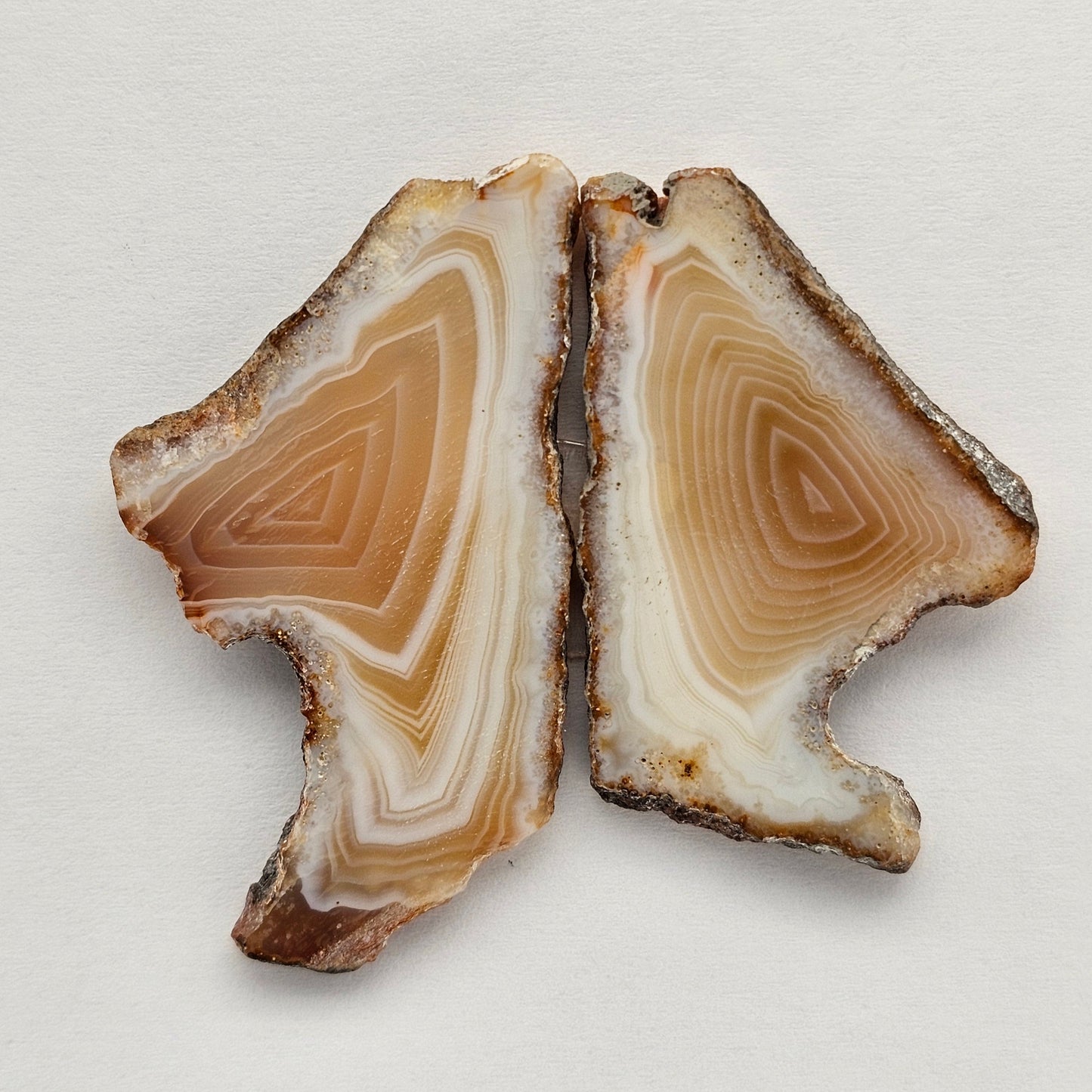 Carnelian Agate Cabochon Pair