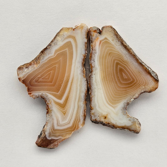 Carnelian Agate Cabochon Pair
