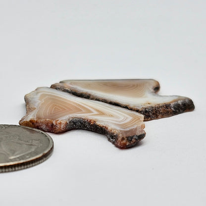 Carnelian Agate Cabochon Pair