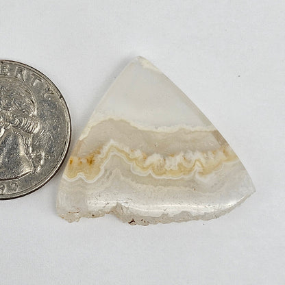 Pandora Agate Cabochon