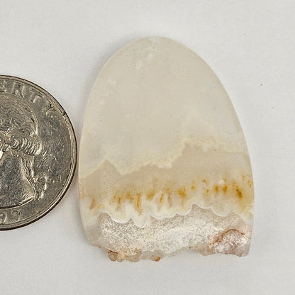 Pandora Agate Cabochon Large