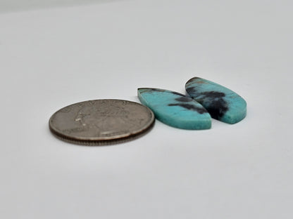 Chrysocolla Cabochon Pair