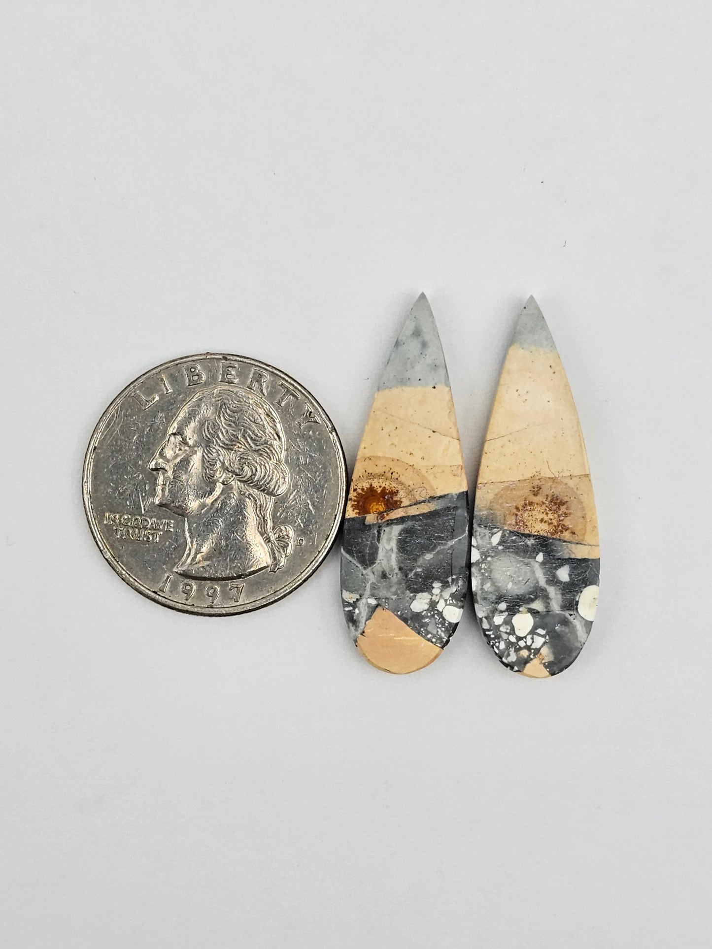 Maligano Jasper cabochon pair