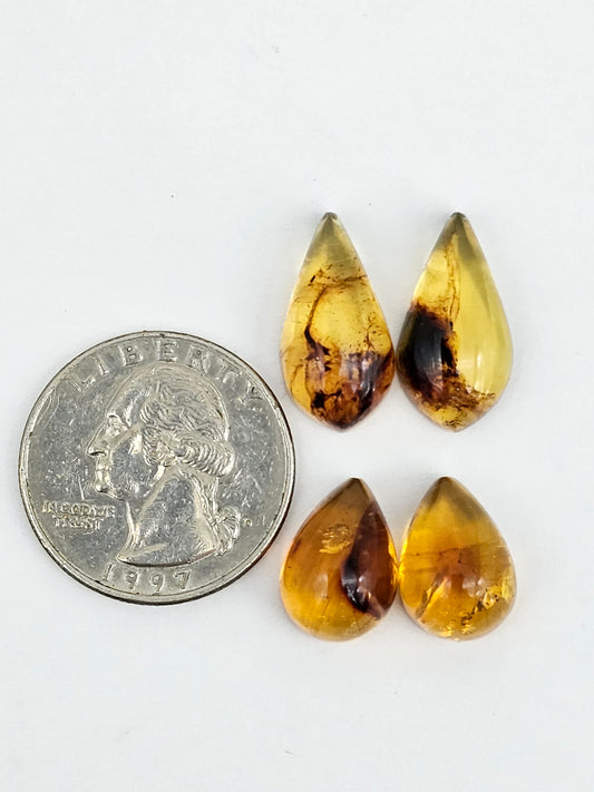 Amber authentic cabochon pair lot