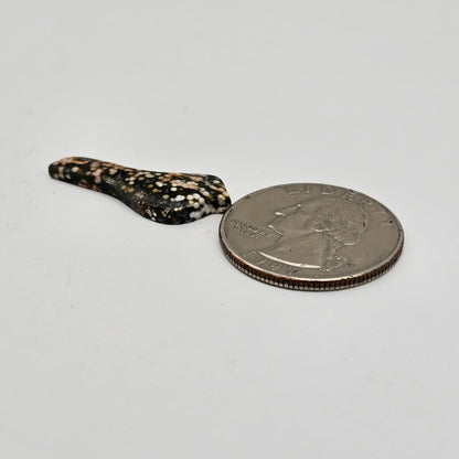 River Jasper Bird Cabochon