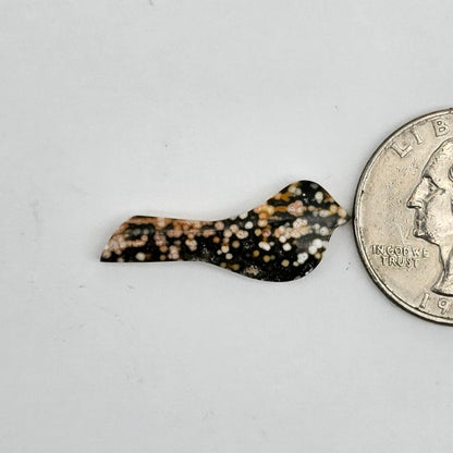 River Jasper Bird Cabochon