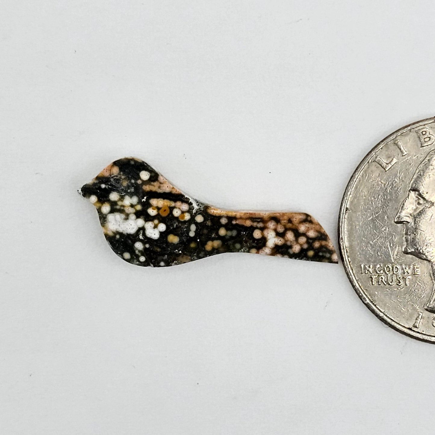 River Jasper Bird Cabochon