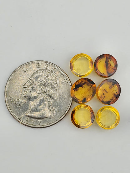 Amber authentic cabochon pair lot
