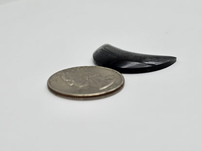 Silver Obsidian Moon Cabochon