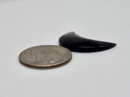 Gold sheen Obsidian Moon Cabochon