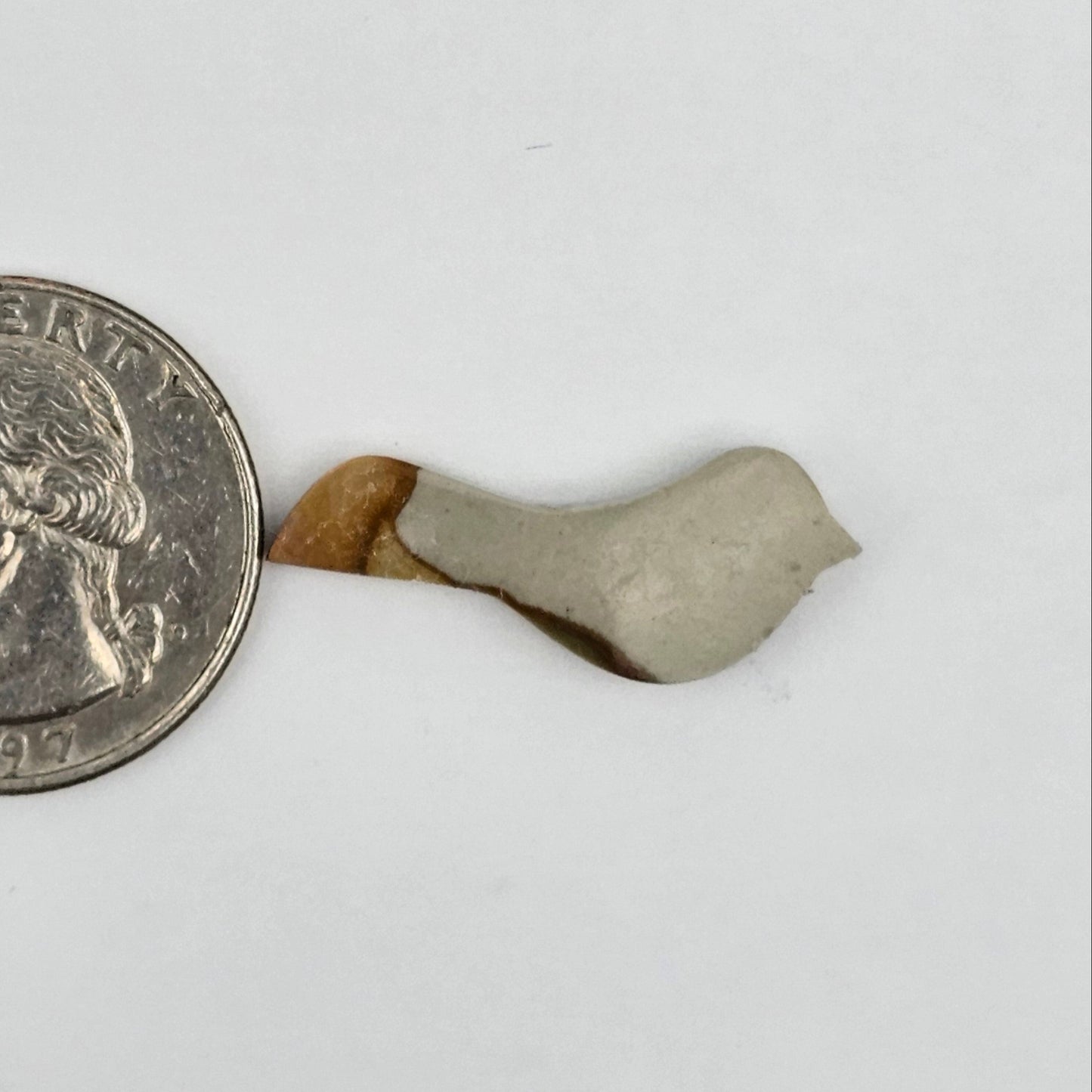 Landscape Jasper Bird Cabochon