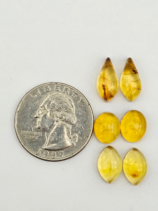 Amber authentic cabochon pair lot