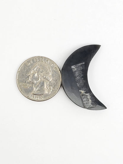 Velvet Obsidian Moon Cabochon