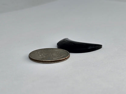 Silver Obsidian Moon Cabochon