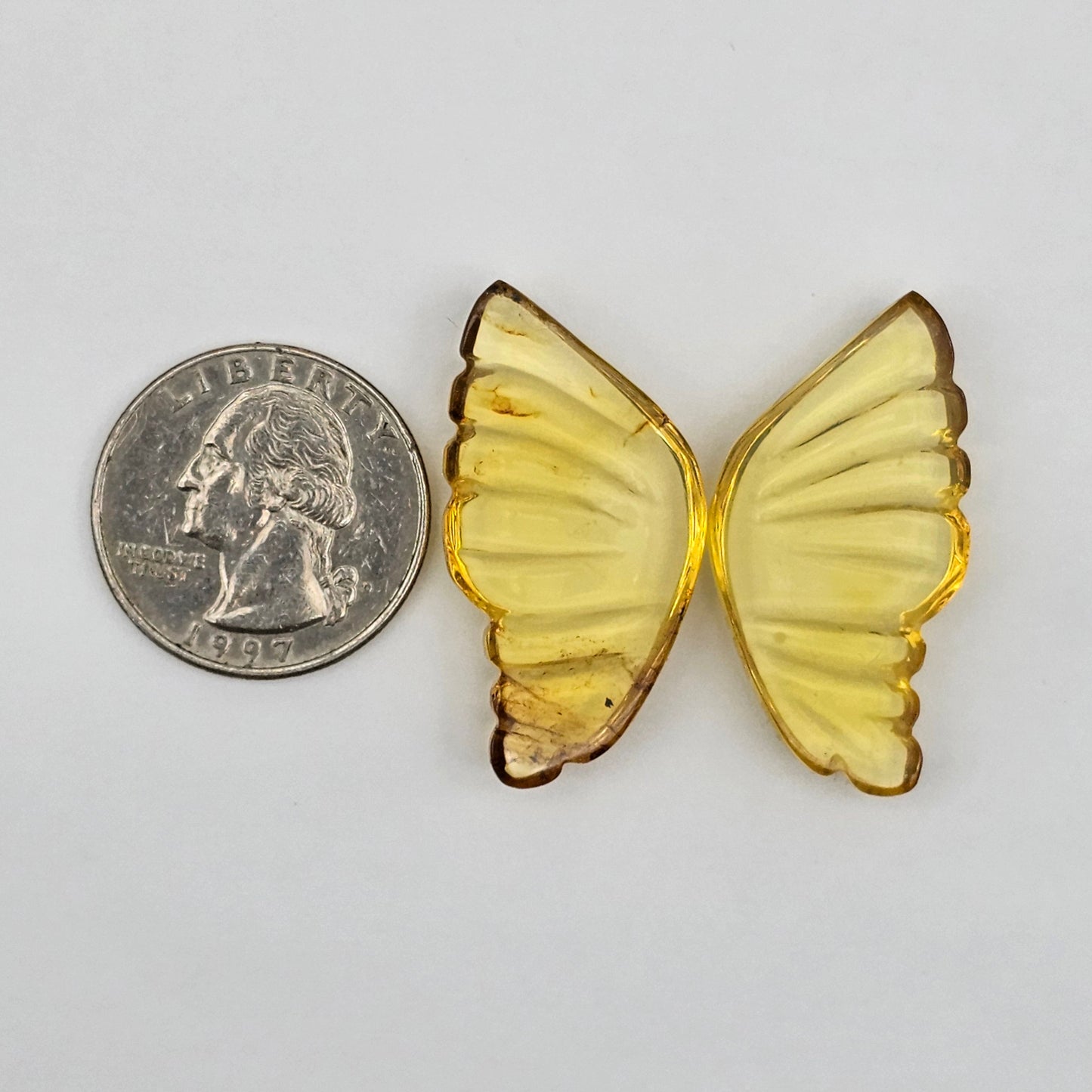 Amber authentic wings cabochon large