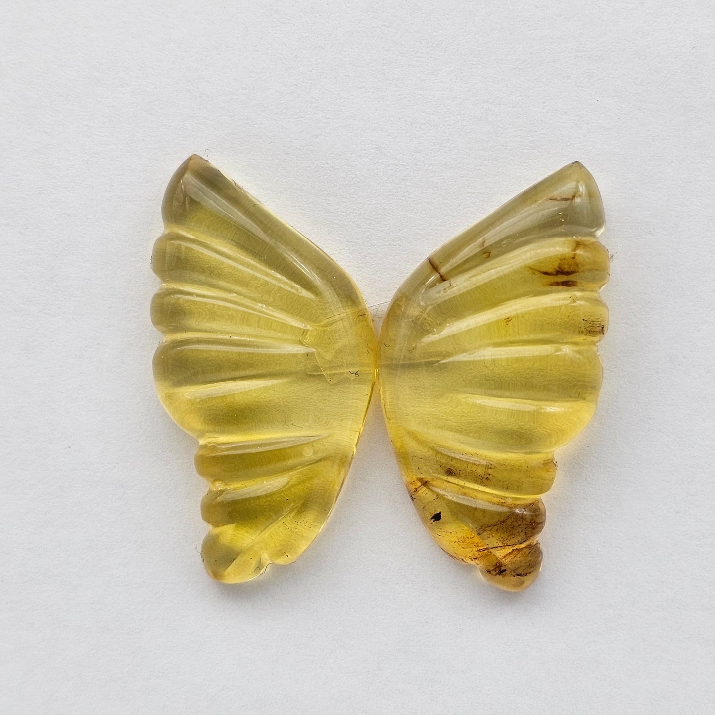 Amber authentic wings cabochon large